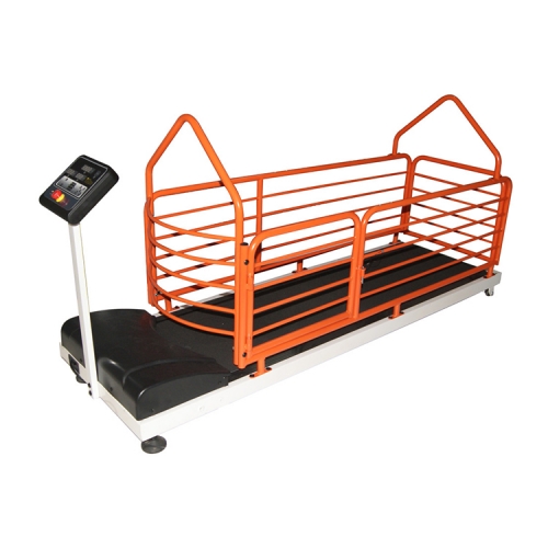 YSVETTM605 orange Electric Pet Running Machine Pet Treadmill For Dogs