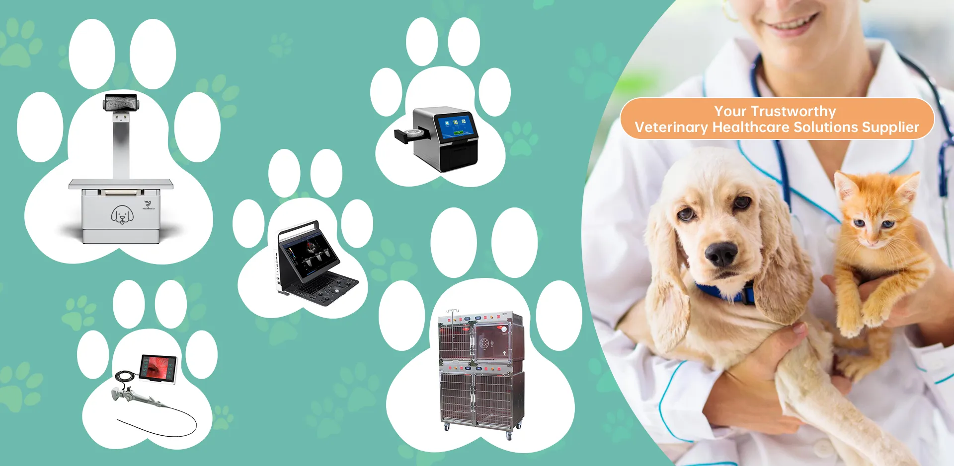 Veterinary Equipment